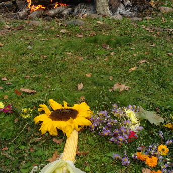 Rudens Saulgrieži Sējas skolā - 