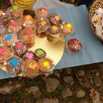 Rudens Saulgrieži Sējas skolā - 