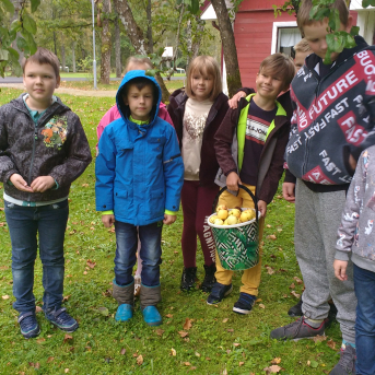 Rudens Saulgrieži Sējas skolā - 