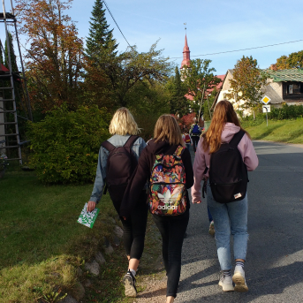 Pārgājiens Tiešsaiste mežā - 