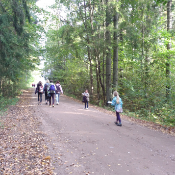 Pārgājiens Tiešsaiste mežā - 