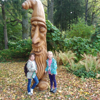 Pārgājiens Tiešsaiste mežā - 