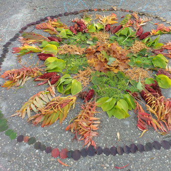 Vēlā pagarinātā grupa - 