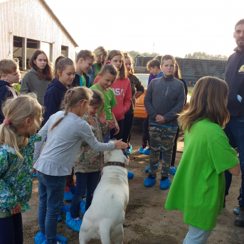 Pārgājiens Tiešsaiste mežā - 