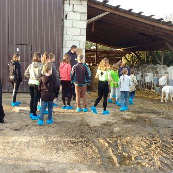 Pārgājiens Tiešsaiste mežā - 