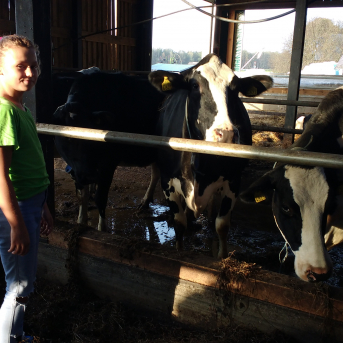 Pārgājiens Tiešsaiste mežā - 