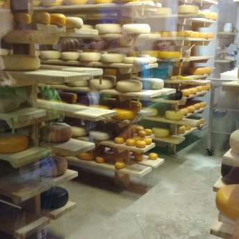 Pārgājiens Tiešsaiste mežā - 