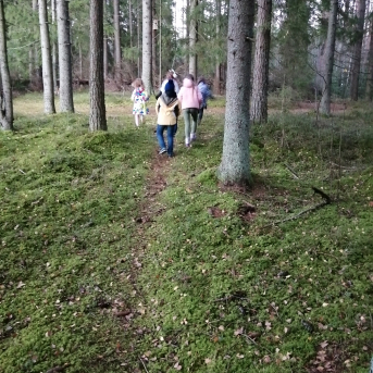 Vēlā pagarinātā grupa - 