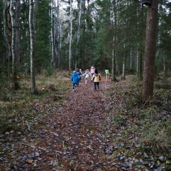 Vēlā pagarinātā grupa - 