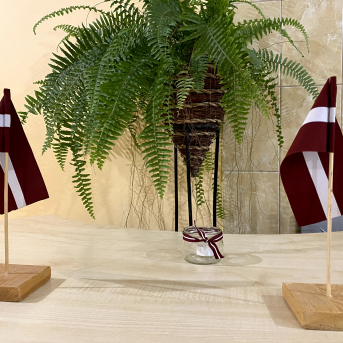 Latvijas valsts svētki Sējas skolā - 