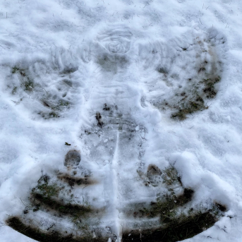 Sportiņš Sējas skolā - Skolēni izmanto kolsālo iespēju sportot ārā, savigā gaisā un baudīt lieliskos laikapstākļus! 