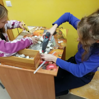 Ziemassvētkus gaidot - 