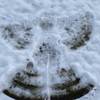 Ziemassvētkus gaidot - 