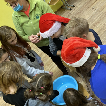 Ziemassvētkus gaidot - 