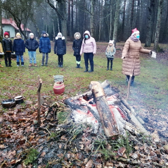 Ziemas saulgrieži - 
