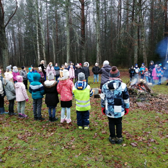 Ziemas saulgrieži - 