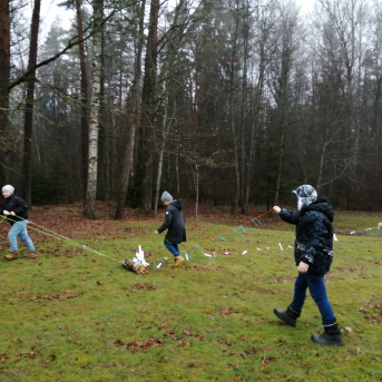 Ziemas saulgrieži - 