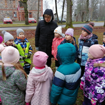 Ziemas saulgrieži - 