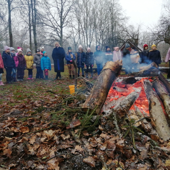 Ziemas saulgrieži - 