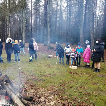 Ziemas saulgrieži - 
