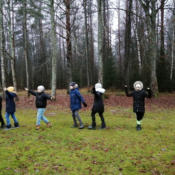 Ziemas saulgrieži - 