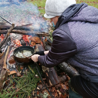 Ziemas saulgrieži - 
