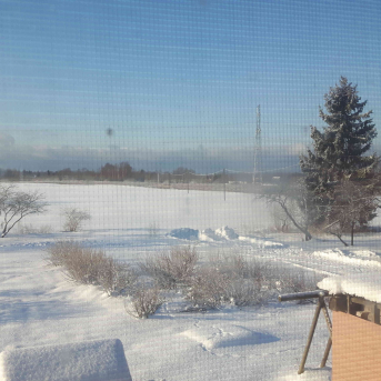 Sniega aktivitātes - Mācoties attālināti pie viedierīcēm, jo īpaši svarīgi ir iziet svaigā gaisā un izkustēties, tāpēc šeit neliels ieskats Sējas skolas skolēnu ziemas mācību-atpūtas aktivitātēs.