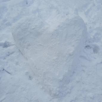 Sniega aktivitātes - Mācoties attālināti pie viedierīcēm, jo īpaši svarīgi ir iziet svaigā gaisā un izkustēties, tāpēc šeit neliels ieskats Sējas skolas skolēnu ziemas mācību-atpūtas aktivitātēs.