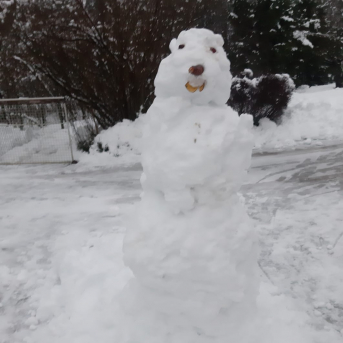 Sniega aktivitātes - Mācoties attālināti pie viedierīcēm, jo īpaši svarīgi ir iziet svaigā gaisā un izkustēties, tāpēc šeit neliels ieskats Sējas skolas skolēnu ziemas mācību-atpūtas aktivitātēs.