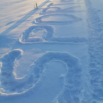 Sniega aktivitātes - Mācoties attālināti pie viedierīcēm, jo īpaši svarīgi ir iziet svaigā gaisā un izkustēties, tāpēc šeit neliels ieskats Sējas skolas skolēnu ziemas mācību-atpūtas aktivitātēs.