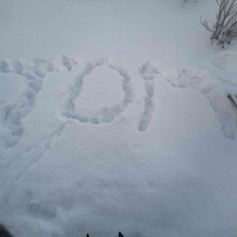 Sniega aktivitātes - Mācoties attālināti pie viedierīcēm, jo īpaši svarīgi ir iziet svaigā gaisā un izkustēties, tāpēc šeit neliels ieskats Sējas skolas skolēnu ziemas mācību-atpūtas aktivitātēs.