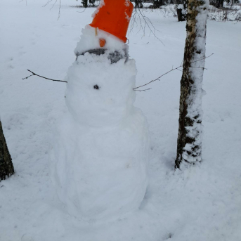 Uzvel savu sniegavīru!  - 