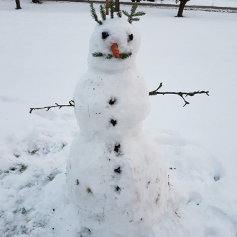 Uzvel savu sniegavīru!  - 