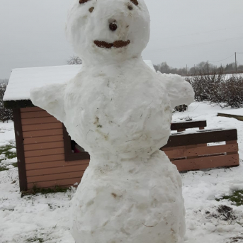 Uzvel savu sniegavīru!  - 