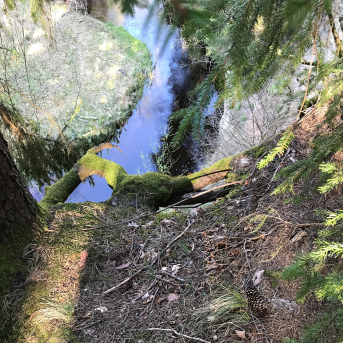 Sporta diena - Mācies aktīvi dabā! - Sestdien, 8.maijā, Sējas pamatskolas skolēni devās pārgājienos 