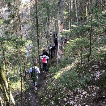 Sporta diena - Mācies aktīvi dabā! - Sestdien, 8.maijā, Sējas pamatskolas skolēni devās pārgājienos 