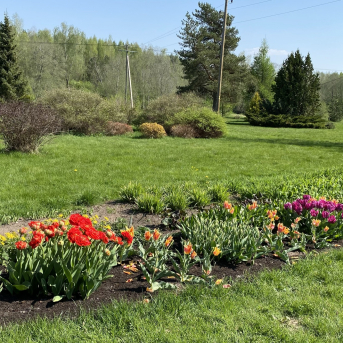 Pavasara skaistums - 