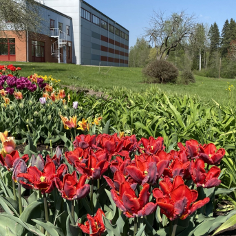 Pavasara skaistums - 