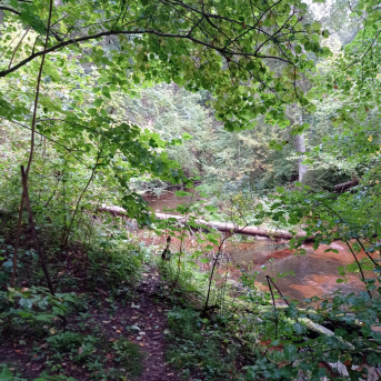 Pārgājienu diena Sējas skolā - 3.septembrī Sējas skolas skolēni devās izzinošos pārgājienos. Katra klase izvēlējās savu maršrutu un virzienu, kurā doties. Jautri, aktīvi un interesanti pavadīta diena bija izdevusies katrai klasei!