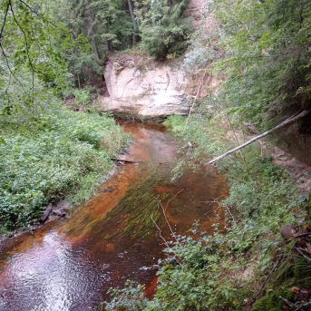 Pārgājienu diena Sējas skolā - 3.septembrī Sējas skolas skolēni devās izzinošos pārgājienos. Katra klase izvēlējās savu maršrutu un virzienu, kurā doties. Jautri, aktīvi un interesanti pavadīta diena bija izdevusies katrai klasei!