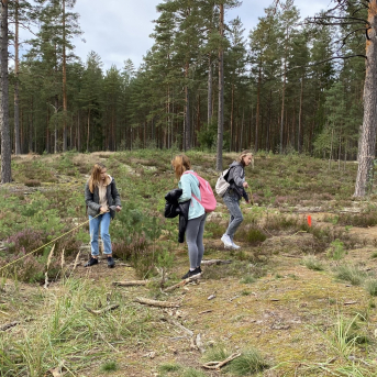 Meža ekspedīcija 6.klasei - 