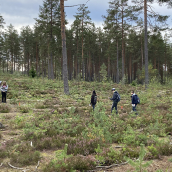 Meža ekspedīcija 6.klasei - 