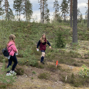 Meža ekspedīcija 6.klasei - 