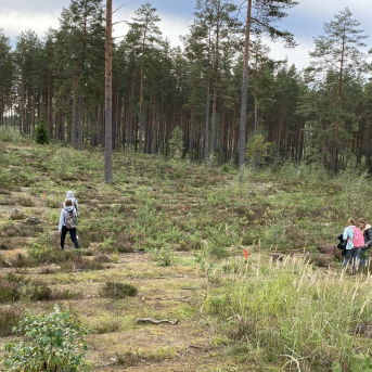 Meža ekspedīcija 6.klasei - 