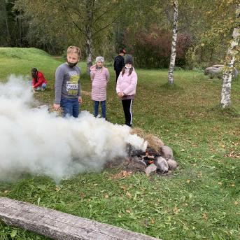 Rudens saulgrieži - 
