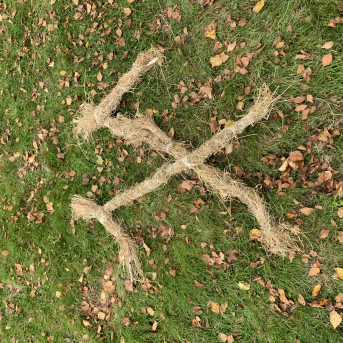 Rudens saulgrieži - 