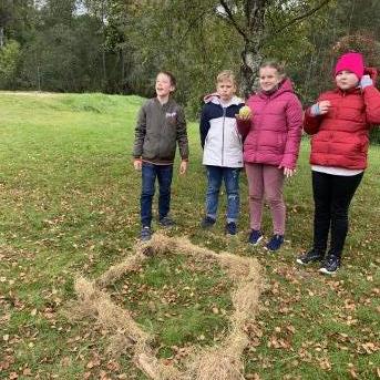 Rudens saulgrieži - 