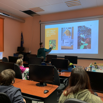 No projektiem līdz Ziemassvētkiem - 