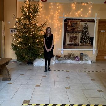 Ziemassvētkus gaidot - 