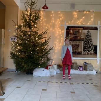 Ziemassvētkus gaidot - 